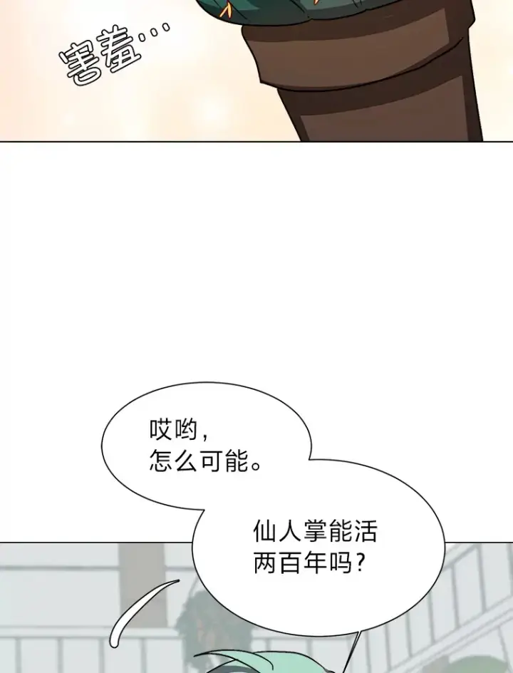 《读心少年利沙度》62.巨人仙人掌图51