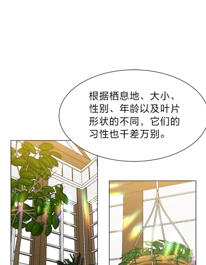 《读心少年利沙度》62.巨人仙人掌图84