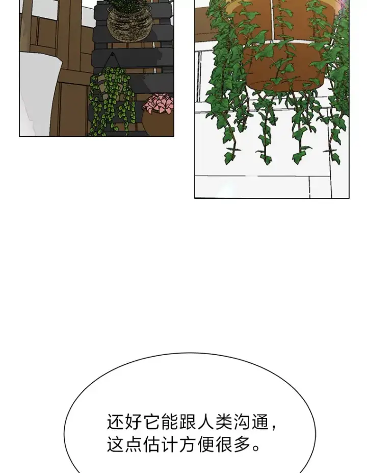 《读心少年利沙度》62.巨人仙人掌图85