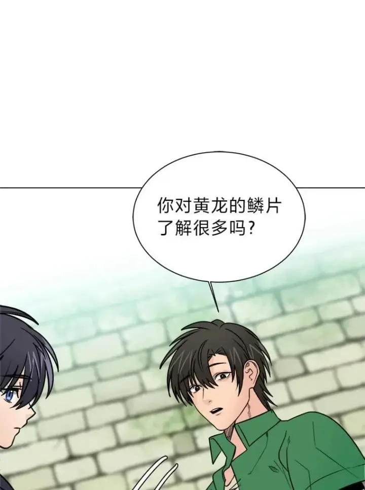 《读心少年利沙度》103.黄龙鳞片图38