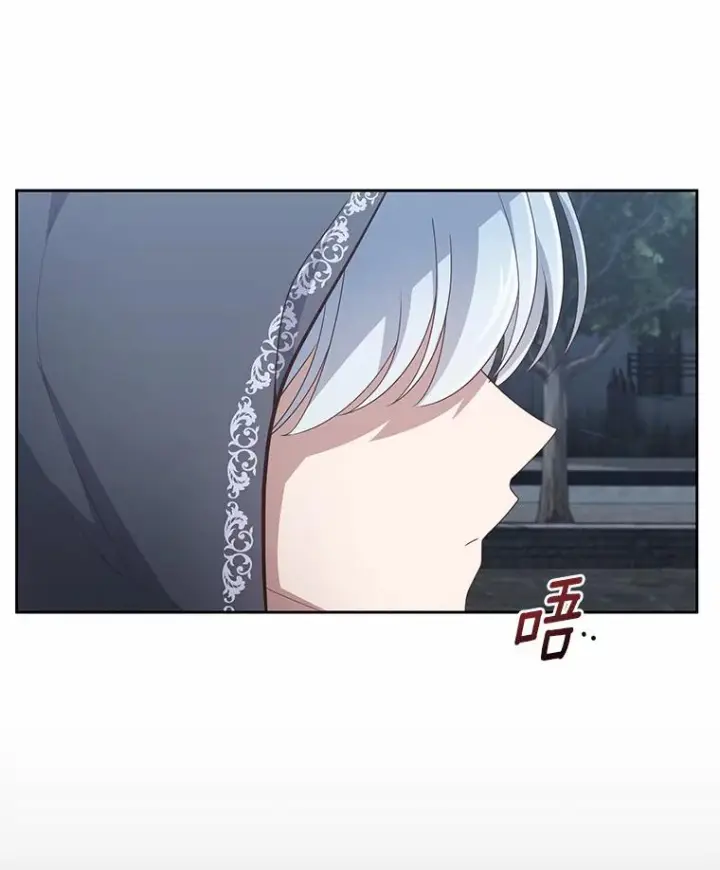 《恶棍的宝贝女儿》25.寻找科蒂莉雅图24