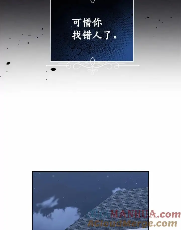 《恶棍的宝贝女儿》26.兰佩兹城堡图70