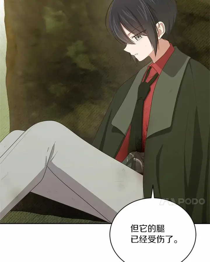 《恶棍的宝贝女儿》49.遇到枭熊图51