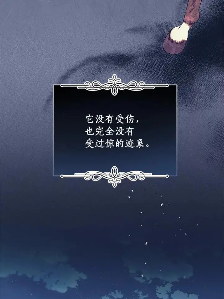《恶棍的宝贝女儿》52.消失的洛兰佐图80