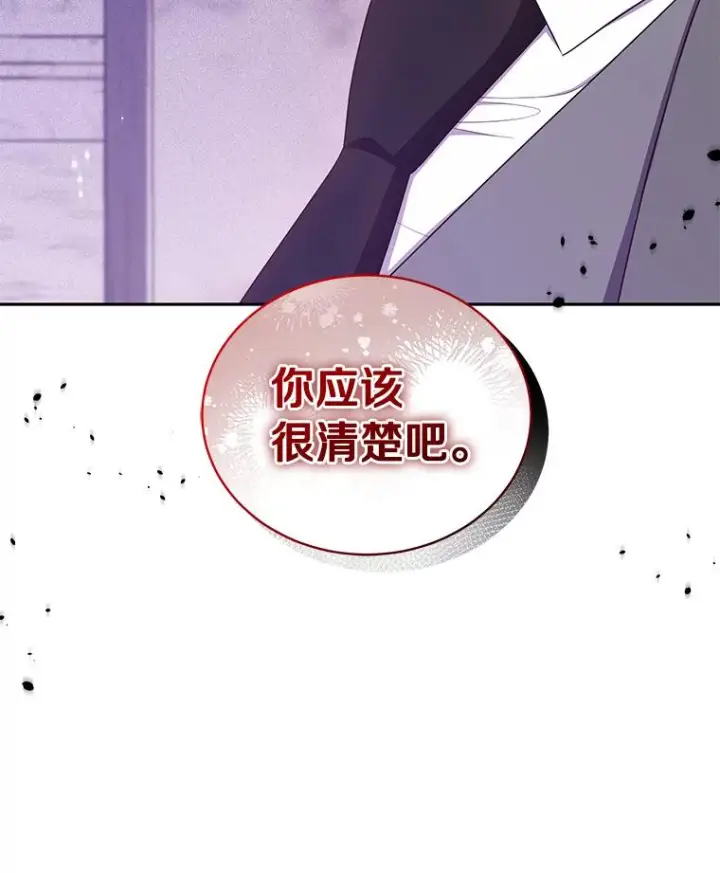 《恶棍的宝贝女儿》57.验证图102