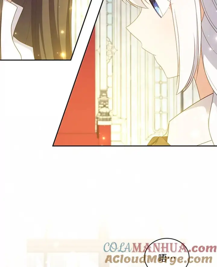 《恶棍的宝贝女儿》57.验证图33