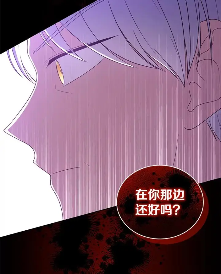 《恶棍的宝贝女儿》57.验证图88