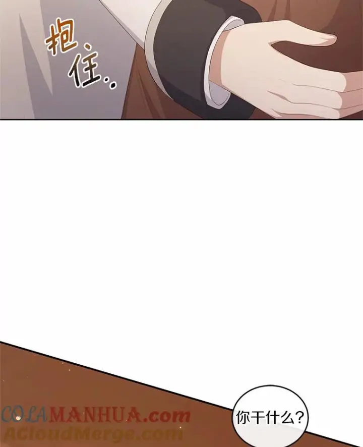 《恶棍的宝贝女儿》4.罗莎莉雅图43