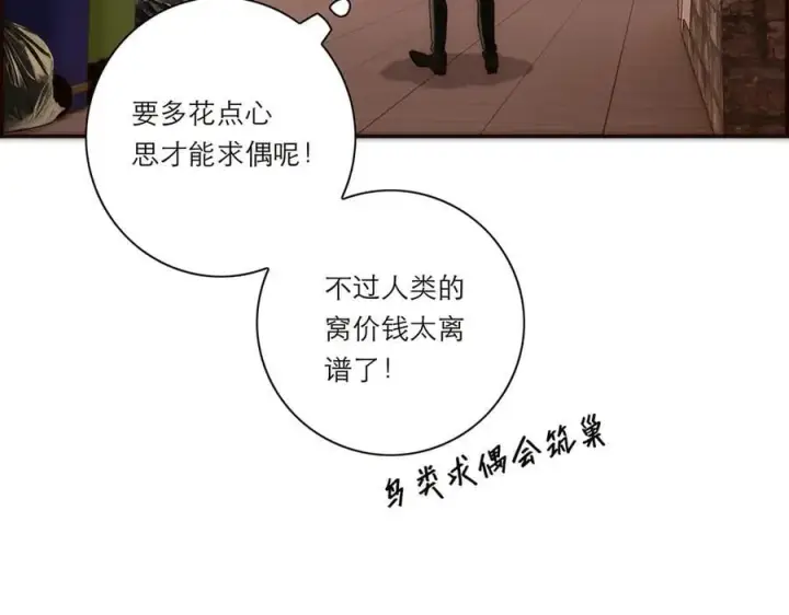 《恩公不做文人雅士》第52话 鸦的报恩图52