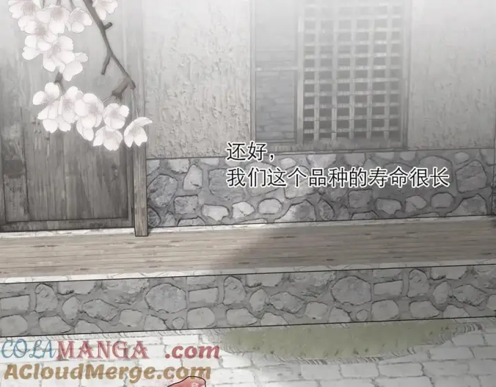 《恩公不做文人雅士》第69话 往事图17