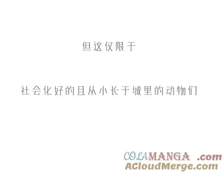 《恩公不做文人雅士》第83话 那个必然幸福的未来图121