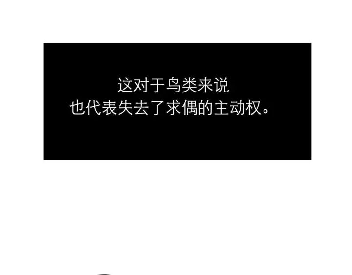 《恩公不做文人雅士》番外图135