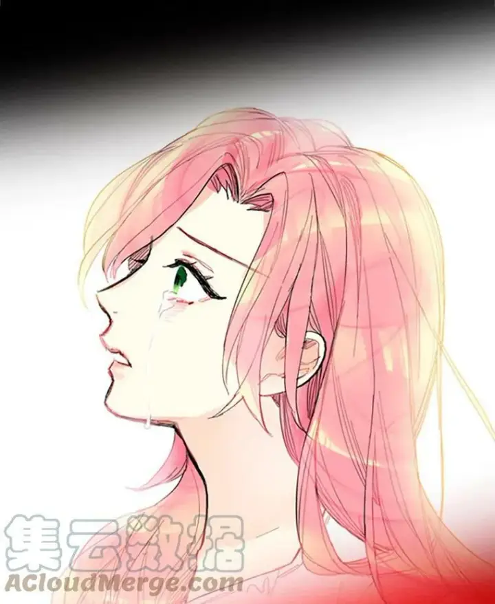《恶女保命计划》0.攻略男主图7
