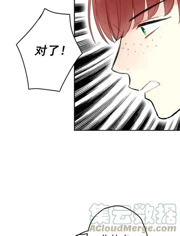 《恶女保命计划》20.兄长图45