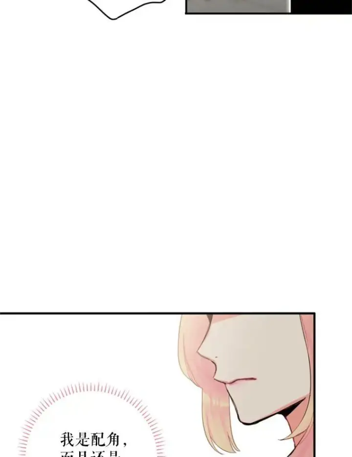 《恶女保命计划》20.兄长图56