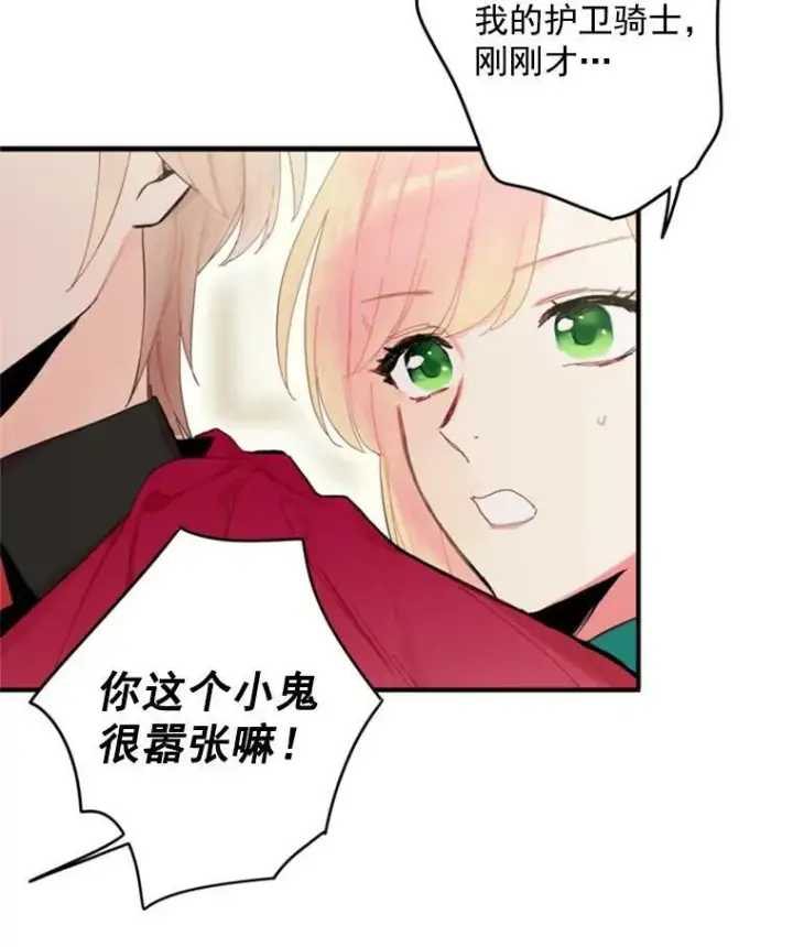 《恶女保命计划》31.无理取闹的哥哥图38