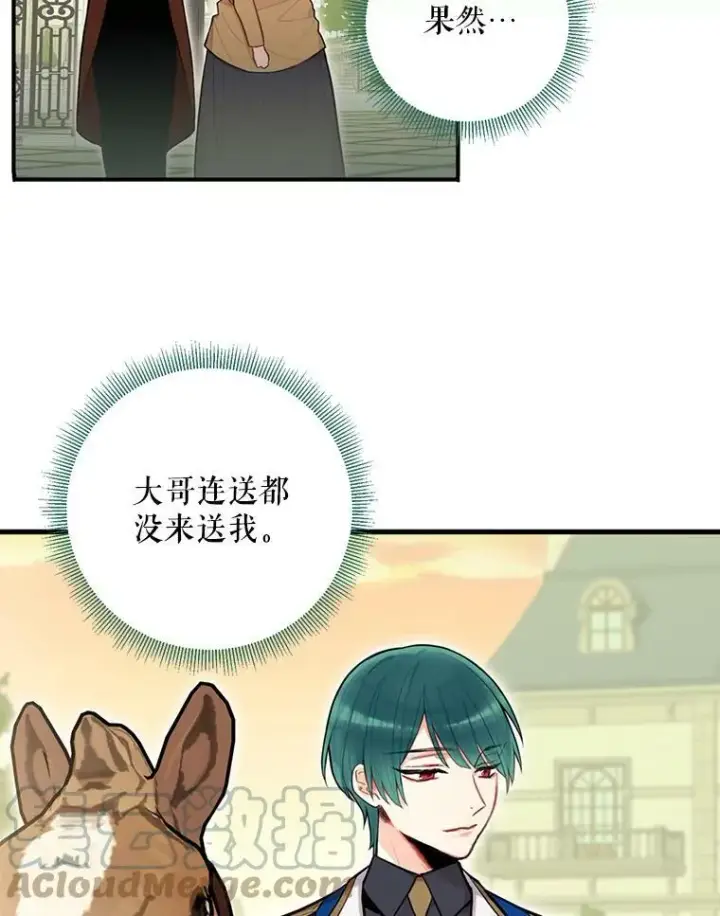 《恶女保命计划》51.兄弟嫌隙图49