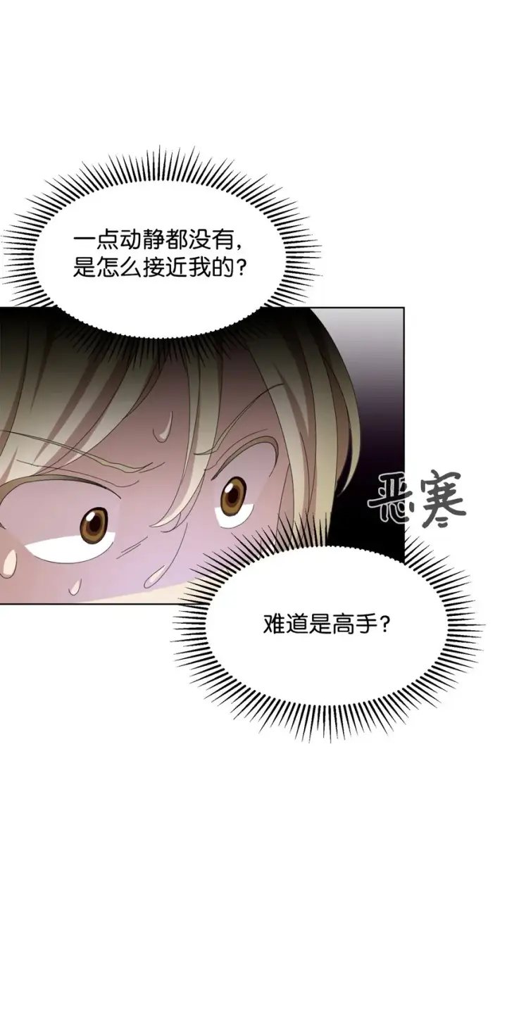 《恶役想要优雅地死去》03 被追杀的皇子图73
