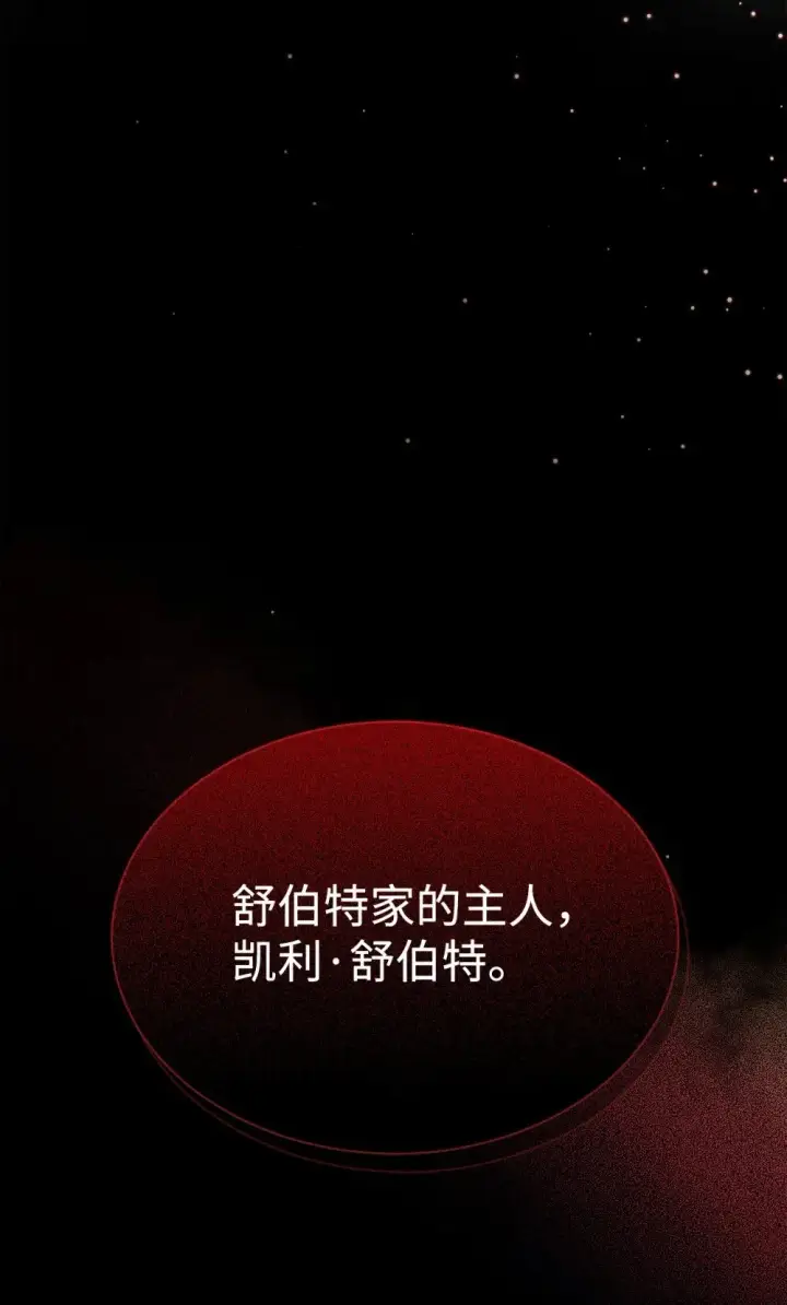《恶役想要优雅地死去》27 舒伯特家族的主人图110