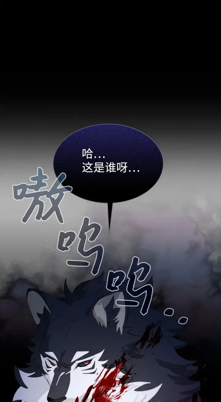 《恶役想要优雅地死去》27 舒伯特家族的主人图50