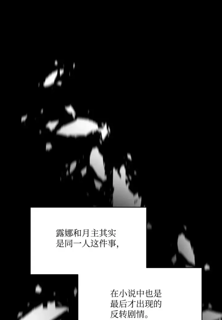 《恶役想要优雅地死去》28 黑暗消失图19