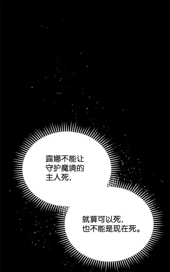 《恶役想要优雅地死去》28 黑暗消失图47