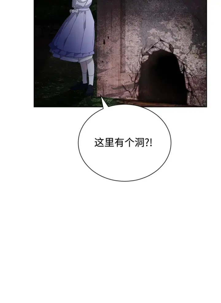 《恶役想要优雅地死去》28 黑暗消失图76