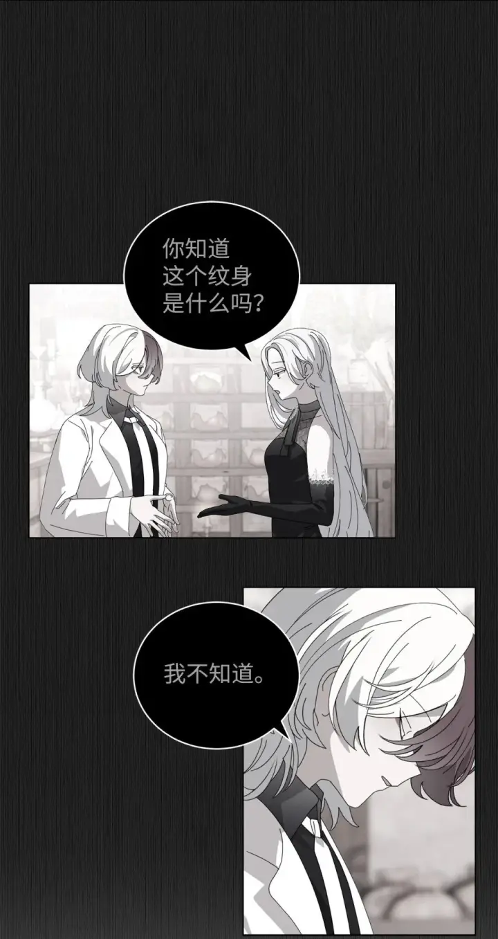 《恶役想要优雅地死去》45 诅咒纹图13
