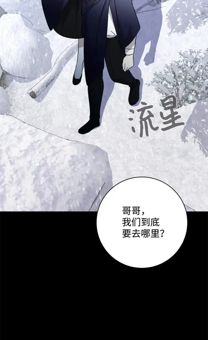 《恶役想要优雅地死去》72 给他自由图56
