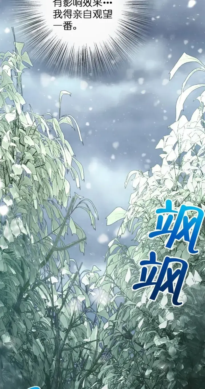 《放开那个女巫》228 森林之心图15