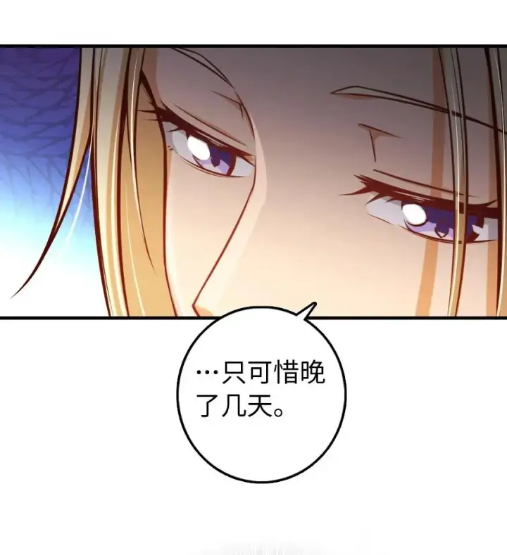 《放开那个女巫》286 我是他的盾图44