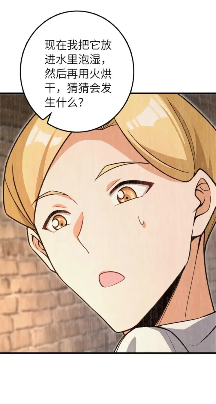 《放开那个女巫》546 风起辉光城图47