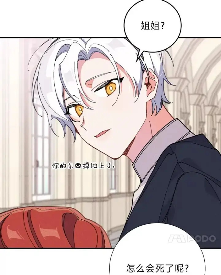 《反派的姐姐今天也很心累》3.阴差阳错图47