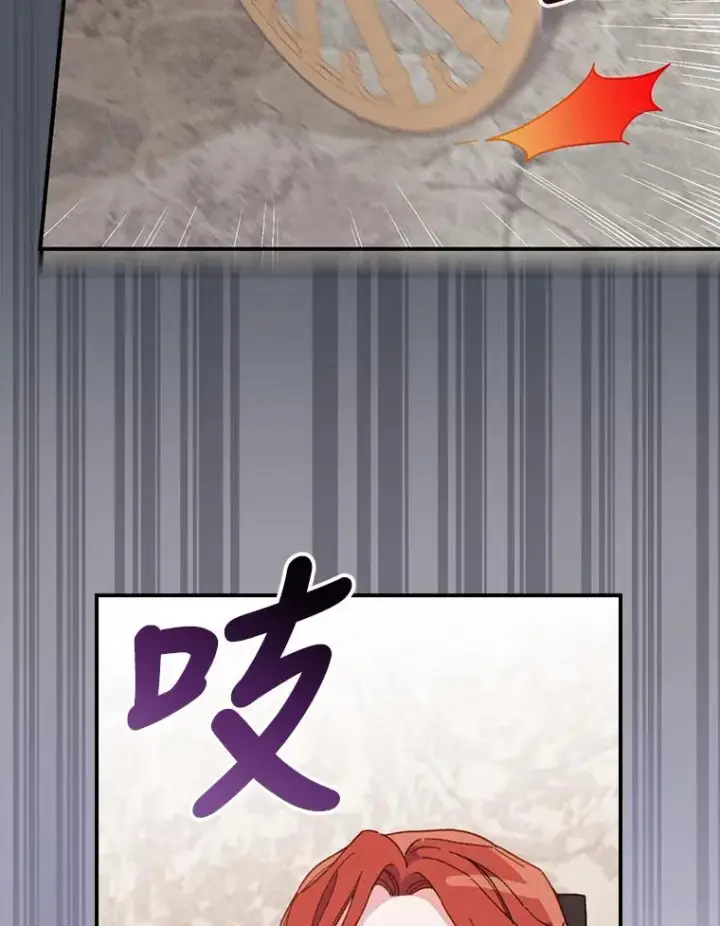 《反派的姐姐今天也很心累》21.失控的马车图106
