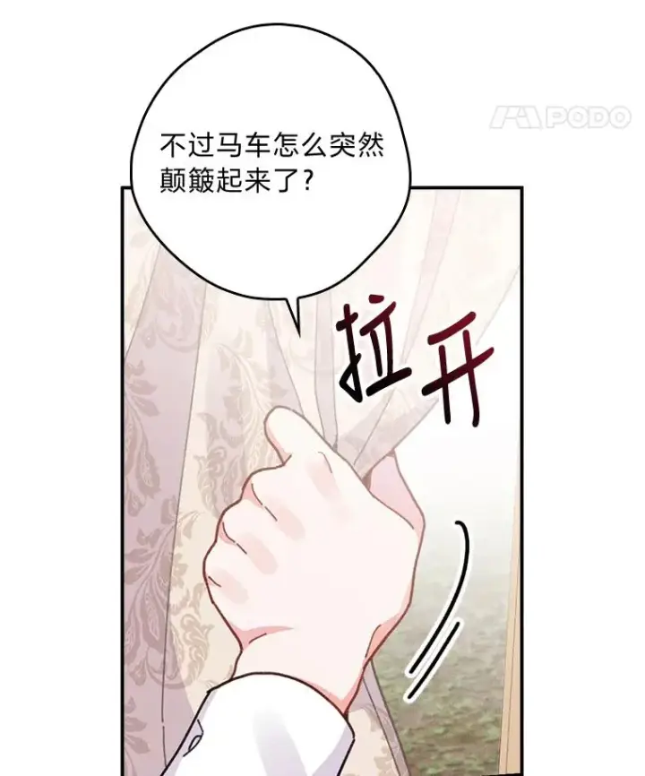 《反派的姐姐今天也很心累》21.失控的马车图27