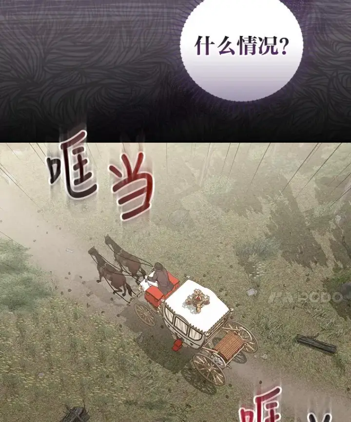 《反派的姐姐今天也很心累》21.失控的马车图30