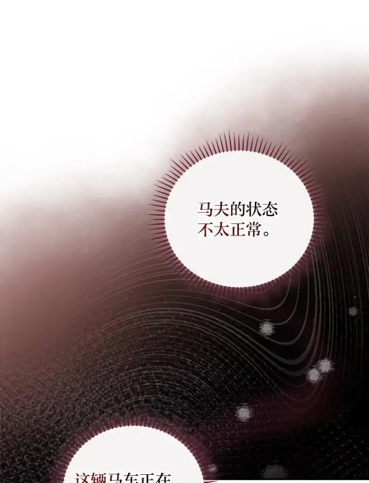 《反派的姐姐今天也很心累》21.失控的马车图46