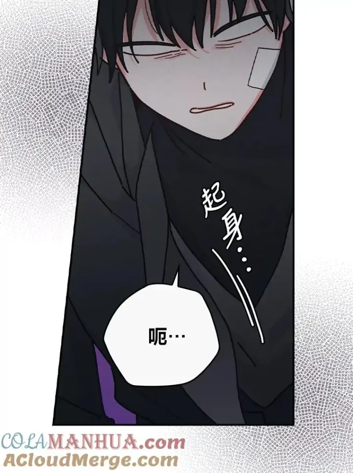 《反派的姐姐今天也很心累》30.天降完美护卫图13