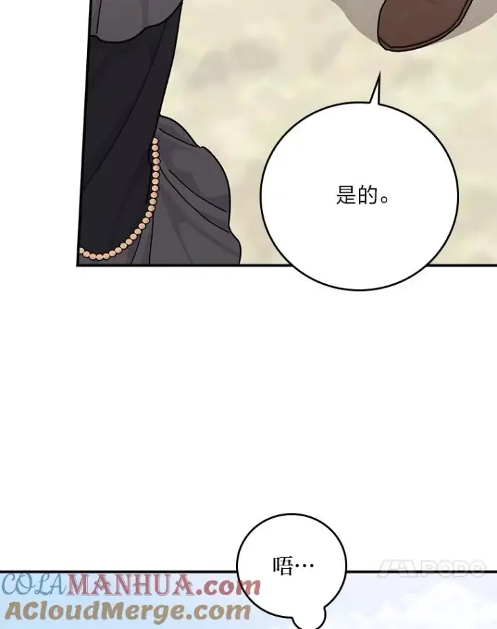 《反派的姐姐今天也很心累》38.宴会前的偶遇图41
