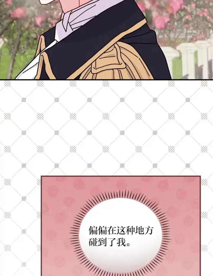 《反派的姐姐今天也很心累》38.宴会前的偶遇图63