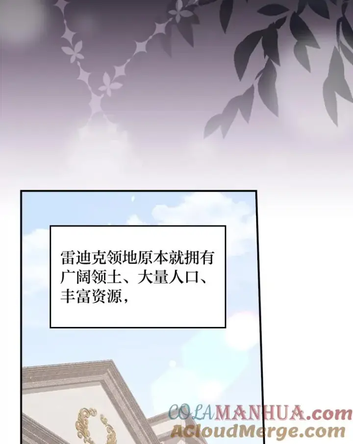 《反派的姐姐今天也很心累》45.雷迪克领地图29