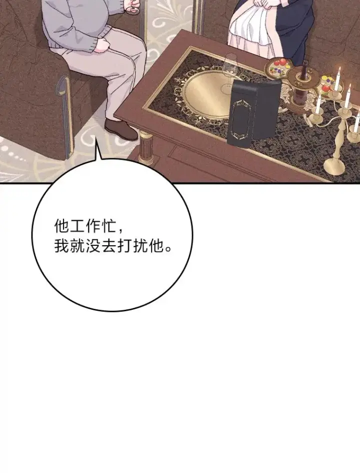 《反派的姐姐今天也很心累》46.回忆往昔图50