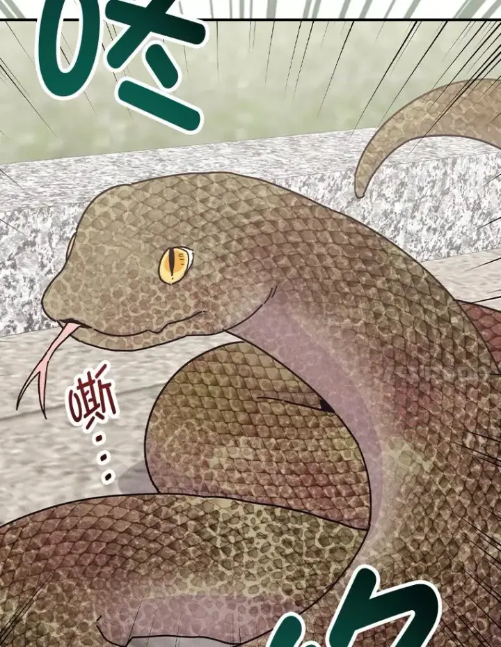 《反派的姐姐今天也很心累》49.惴惴不安的原因图63