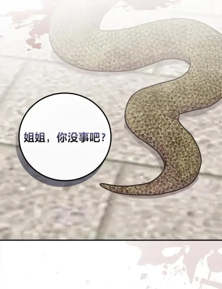 《反派的姐姐今天也很心累》49.惴惴不安的原因图88