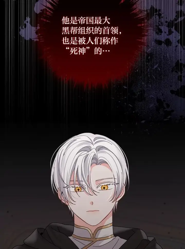《反派的姐姐今天也很心累》51.幕后主谋图68