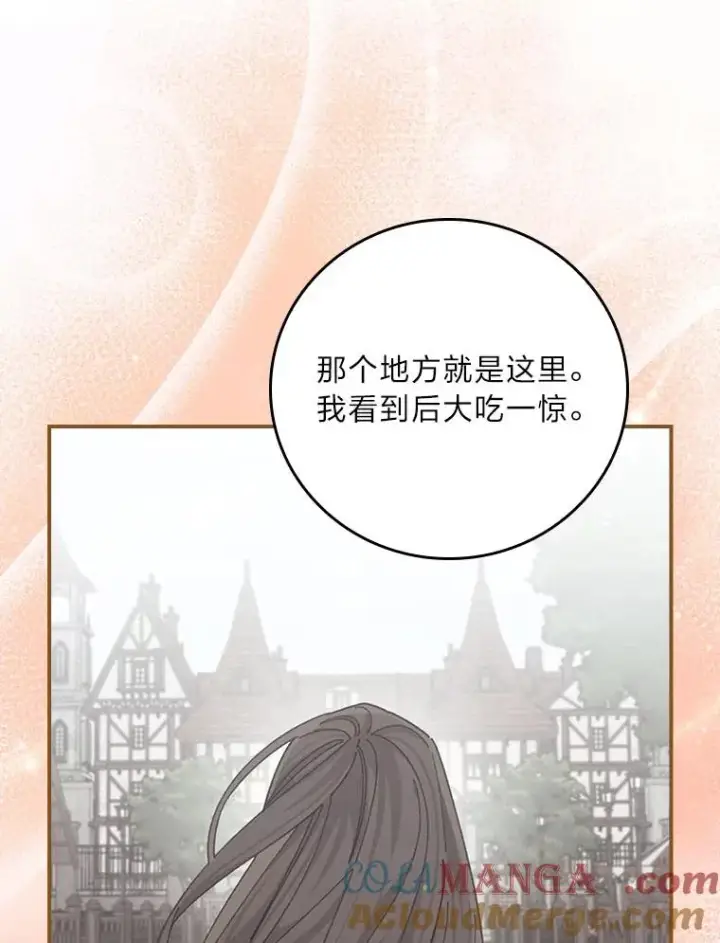 《反派的姐姐今天也很心累》92.作者的亲身经历图37