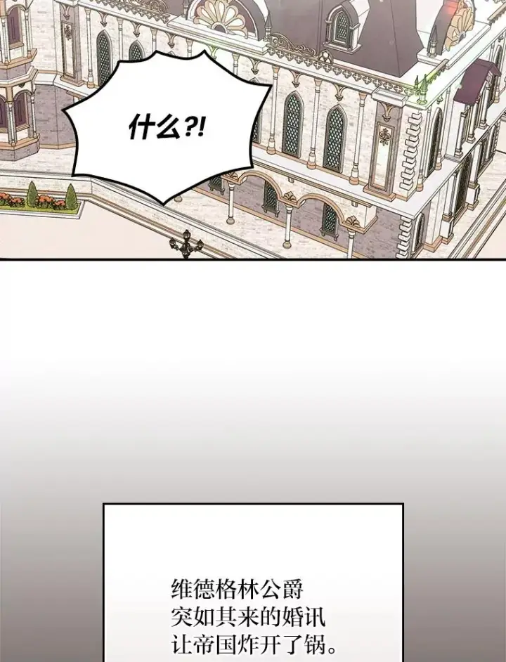 《反派的姐姐今天也很心累》97.公爵的婚讯图29