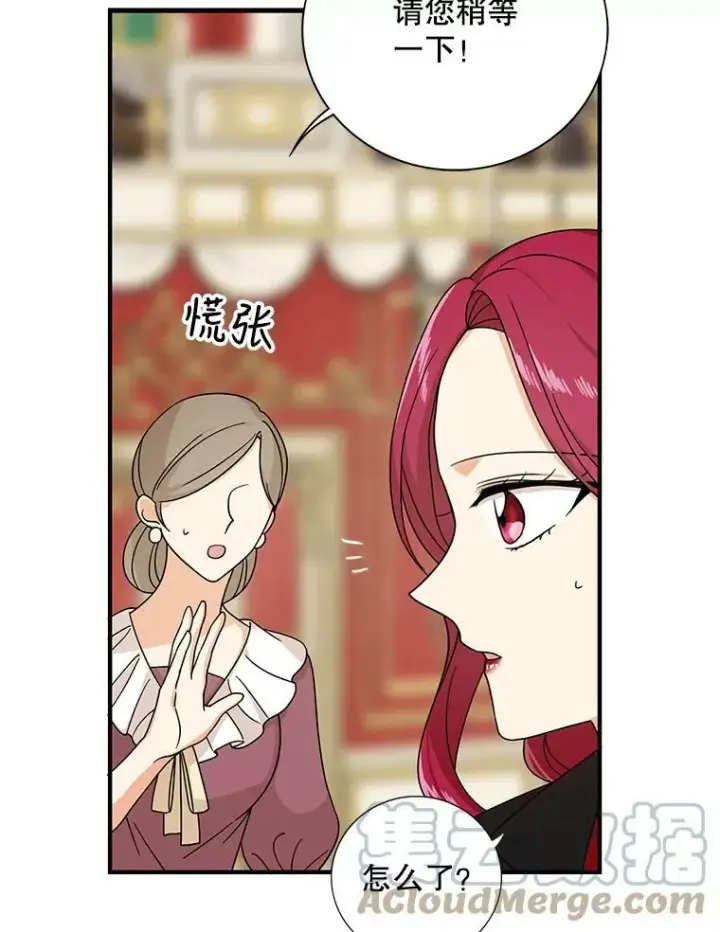 《反派的继母》32.贵族聚会图45