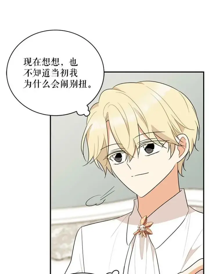 《反派的继母》47.魔力石图11