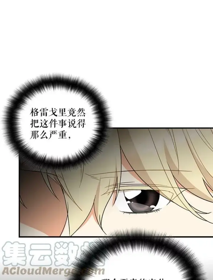 《反派的继母》47.魔力石图13